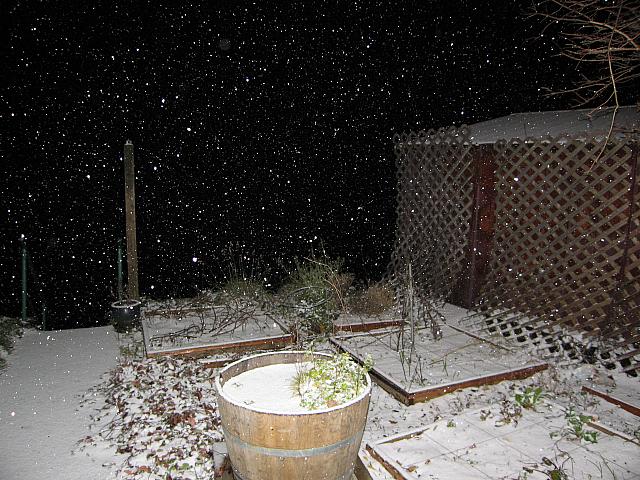 IMG 1951
