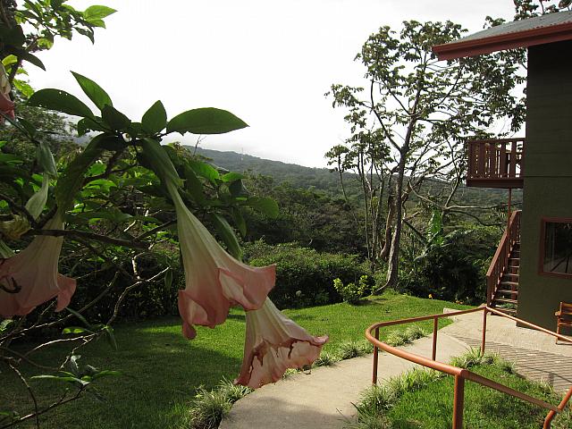 IMG 7887