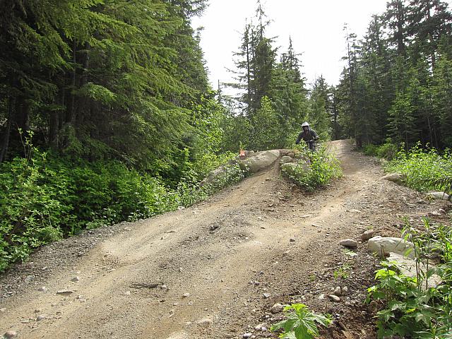 IMG 4705