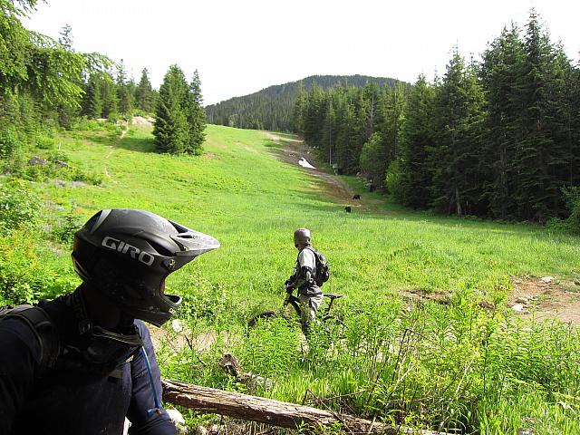 IMG 4750