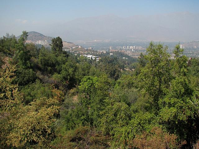 Picture 018