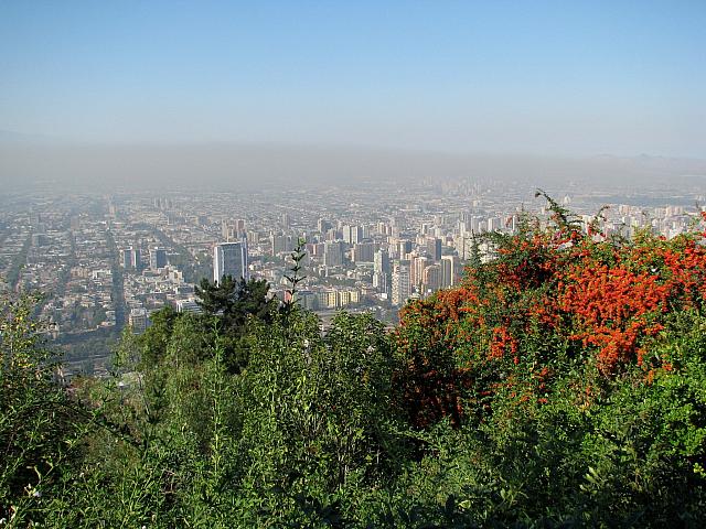 Picture 120