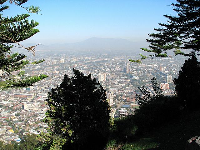 Picture 123