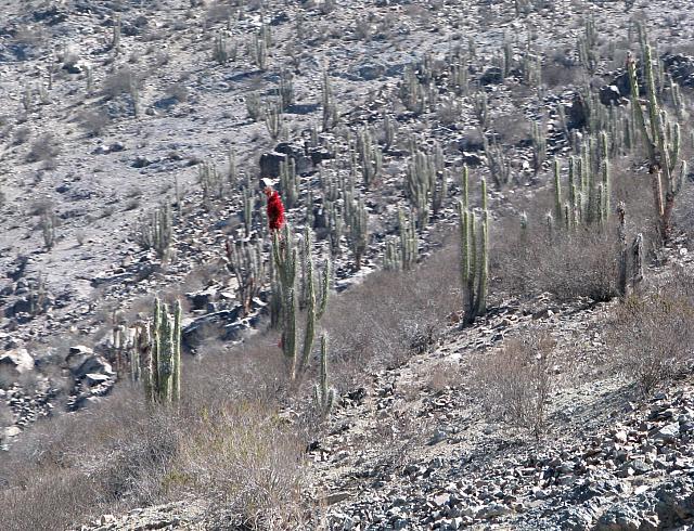 AZ 048