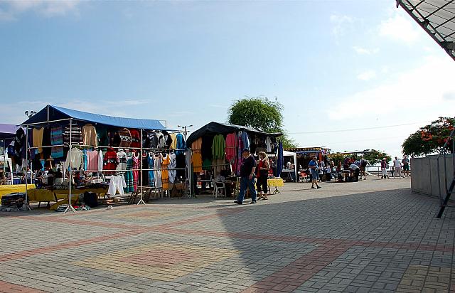 DSC 0004
