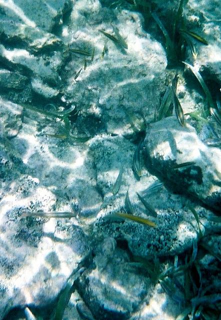 405718-R1-050-23A 025