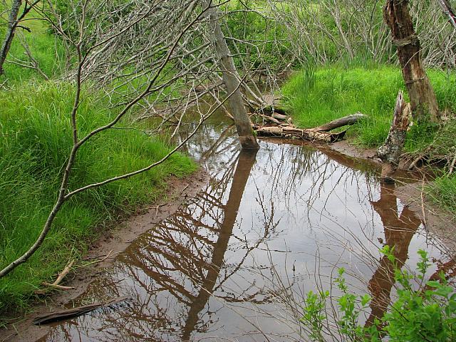 201107 616