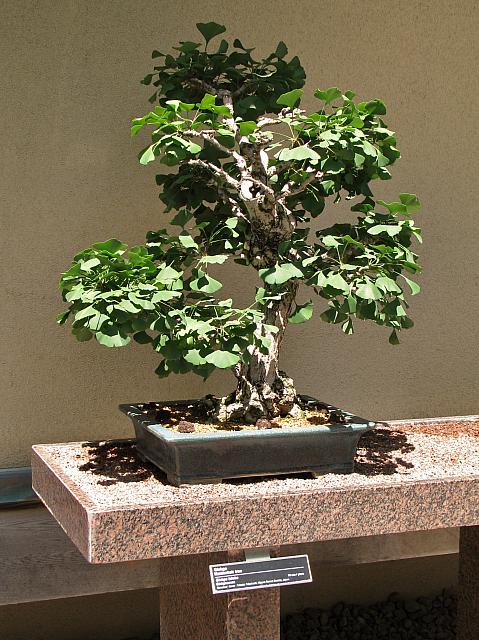 201107 1178