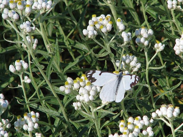 201109 058