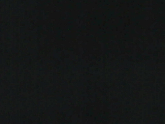 IMG 0113