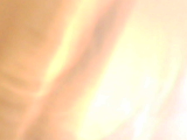 IMG 0119