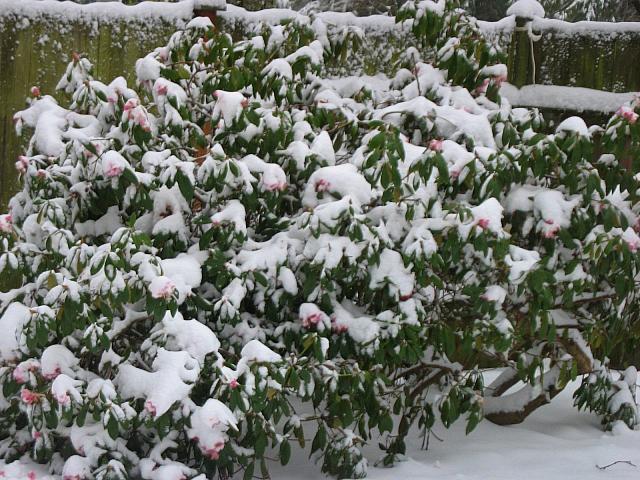 201202 004