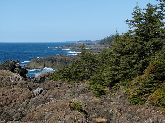 201203A 075