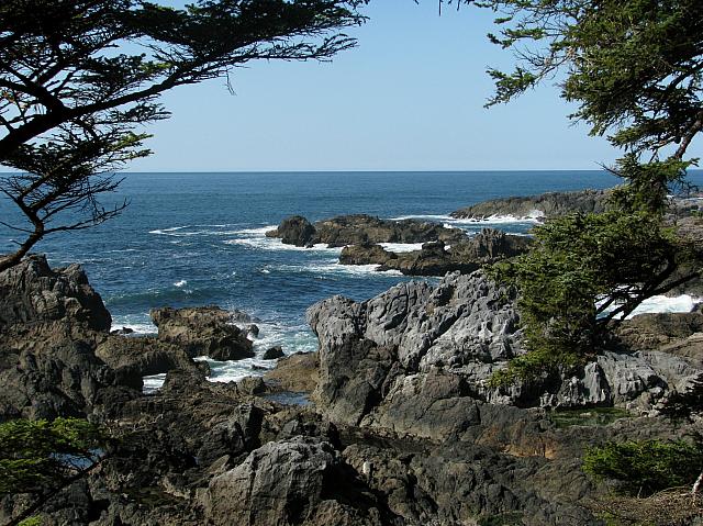 201203A 095