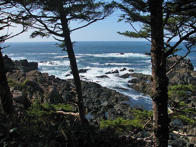 201203A 097