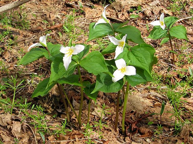 201204 002