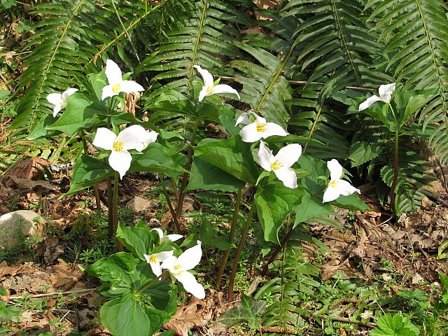 201204 015