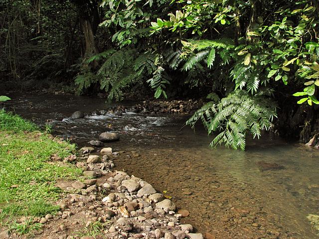 Stopped by a small stream