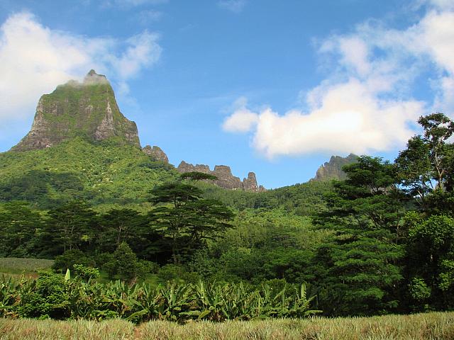 Moorea beauty