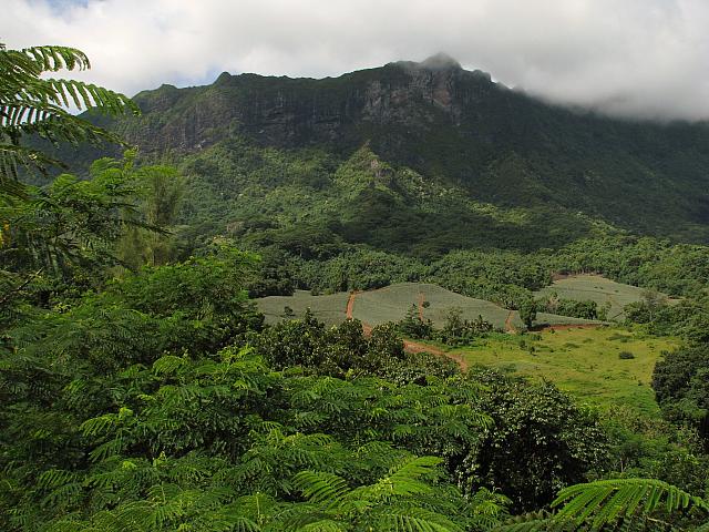 Moorea