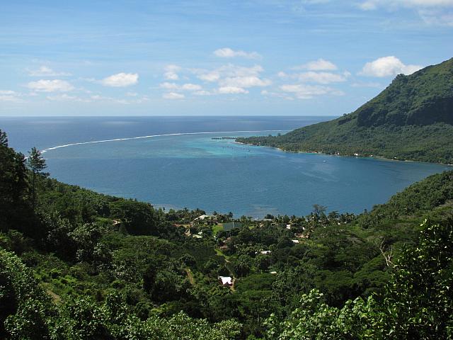 This!  (Opunohu Bay)