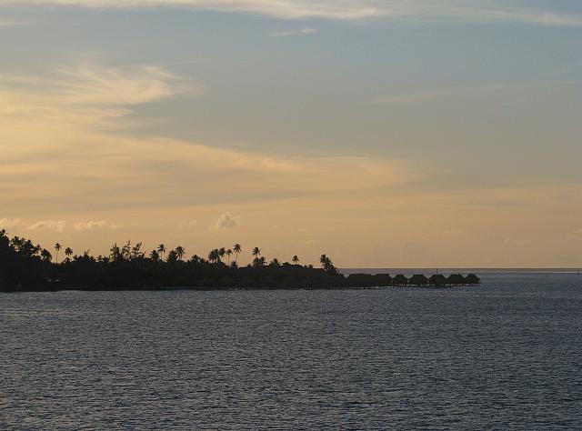 Late afternoon light