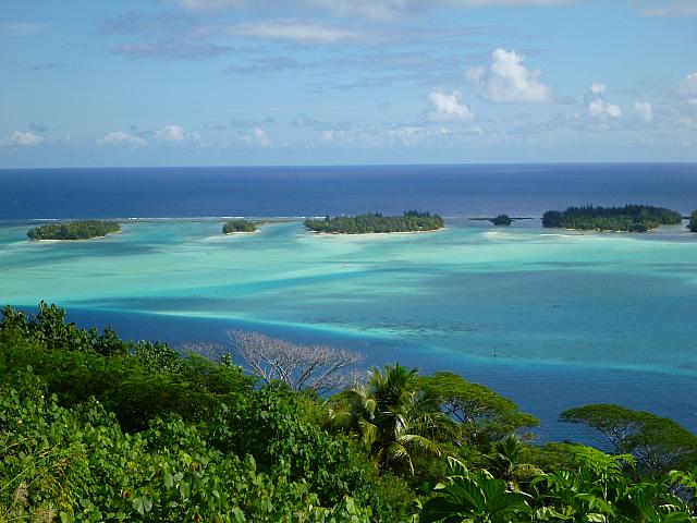 Amazing colors!