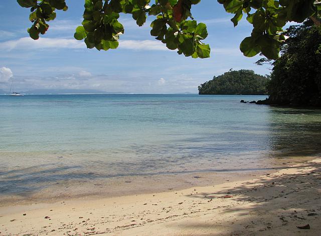 Lush tropical view