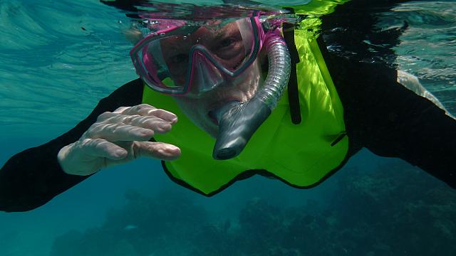 Strange underwater creature