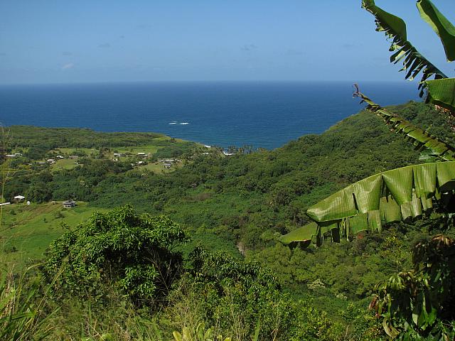 201205A2 1064