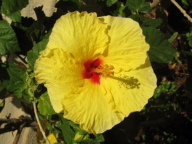 201205A2 661