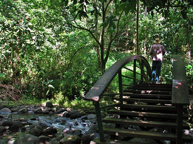 Bridge on trail to Fautaua Waterfall