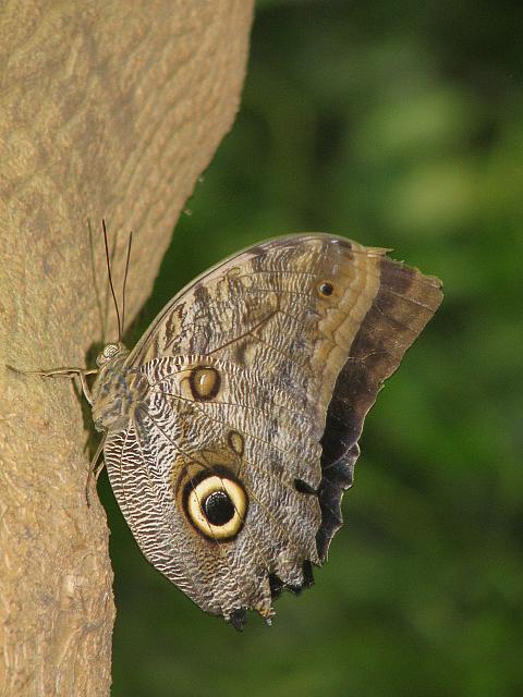 201206 034