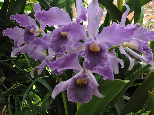 20130601 014