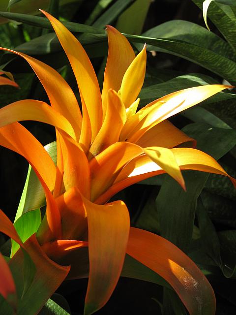 20130601 046