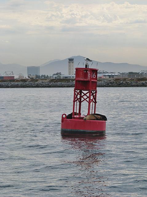 201308SAN 067