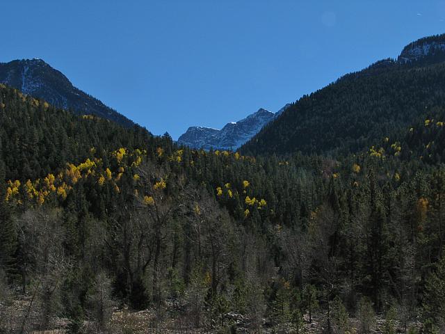 201310SW 595