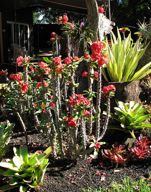 201312HawaiiA 171