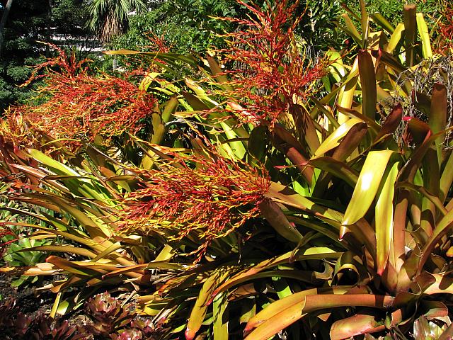 201312HawaiiA 173