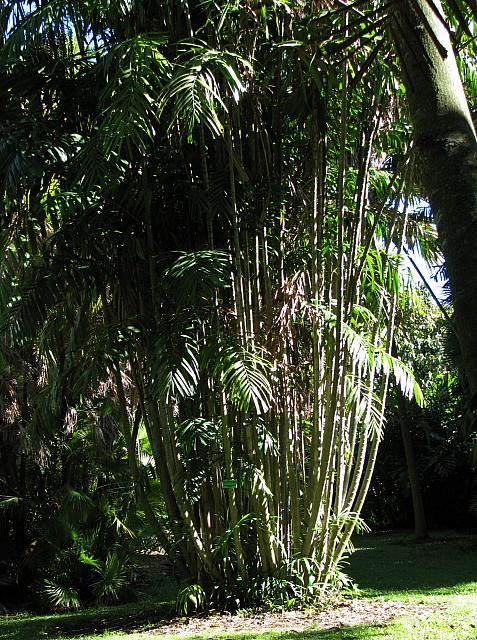 201312HawaiiA 185