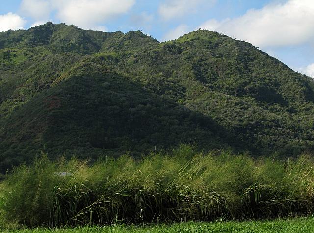 201312HawaiiA 595