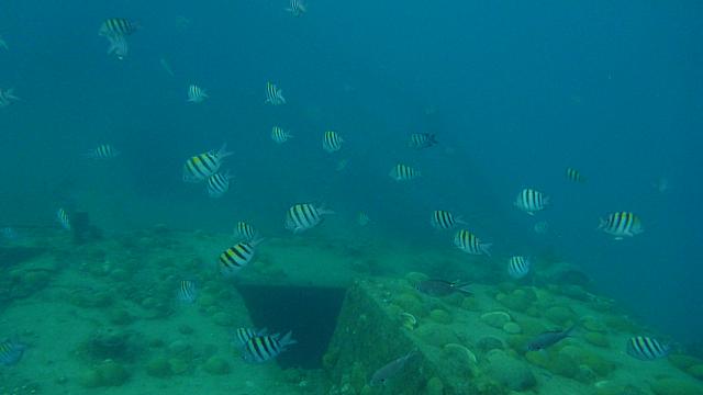 201402CaribK 346