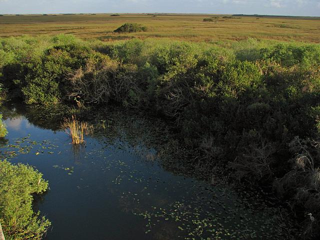 201402Carib 203