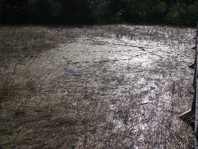 201402Carib 1312
