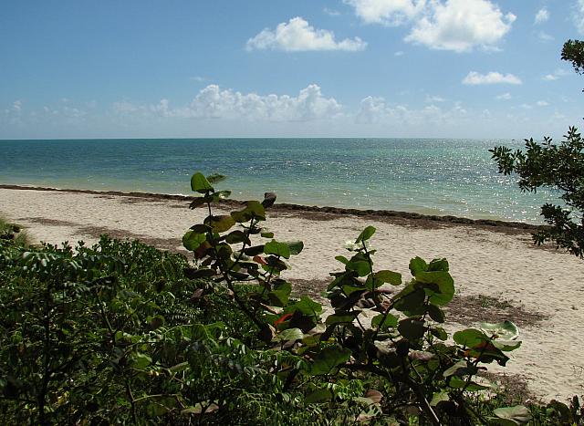 201402Carib 248