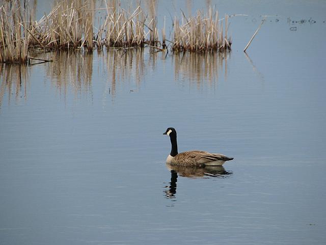 201404 Canada 189