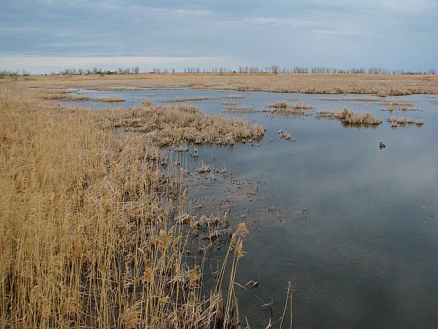 201404 Canada 191