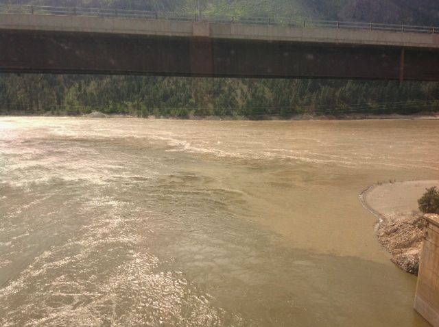 photo 2 (3)