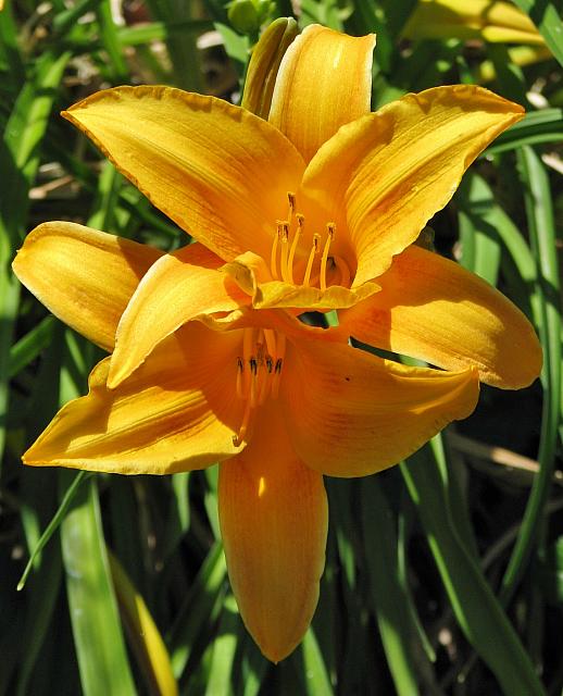 201405 OR WA 029