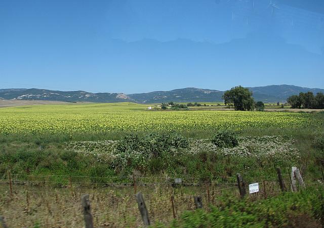 201407 Espana 1098